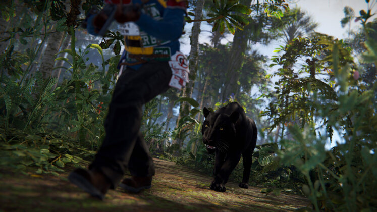 Rust - Panther - Jungle Update