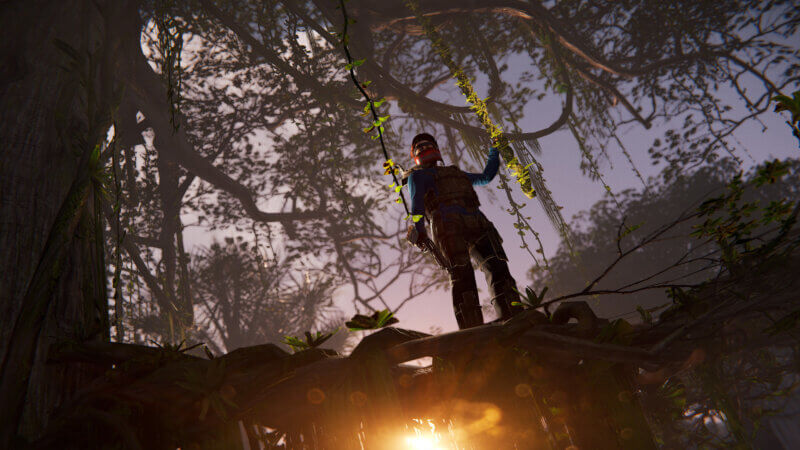 Rust - Jungle Trees - Jungle Update